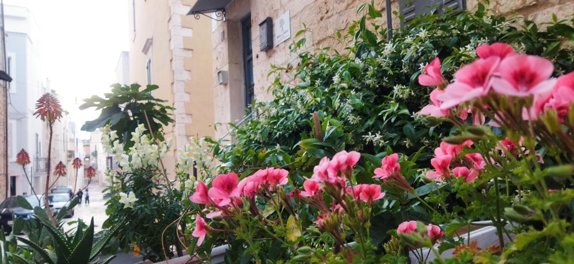 Dimora Delle Badesse Bed & Breakfast กอนแวร์ซาโน ภายนอก รูปภาพ